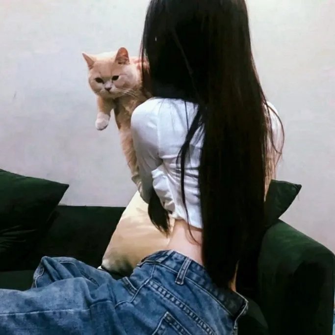 神枪少女第一季